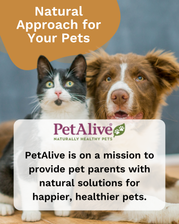 petalive, mission to provide pet parents with natural solutions for happier, healthier dogs and cats